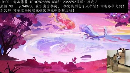 拓展训练项口号