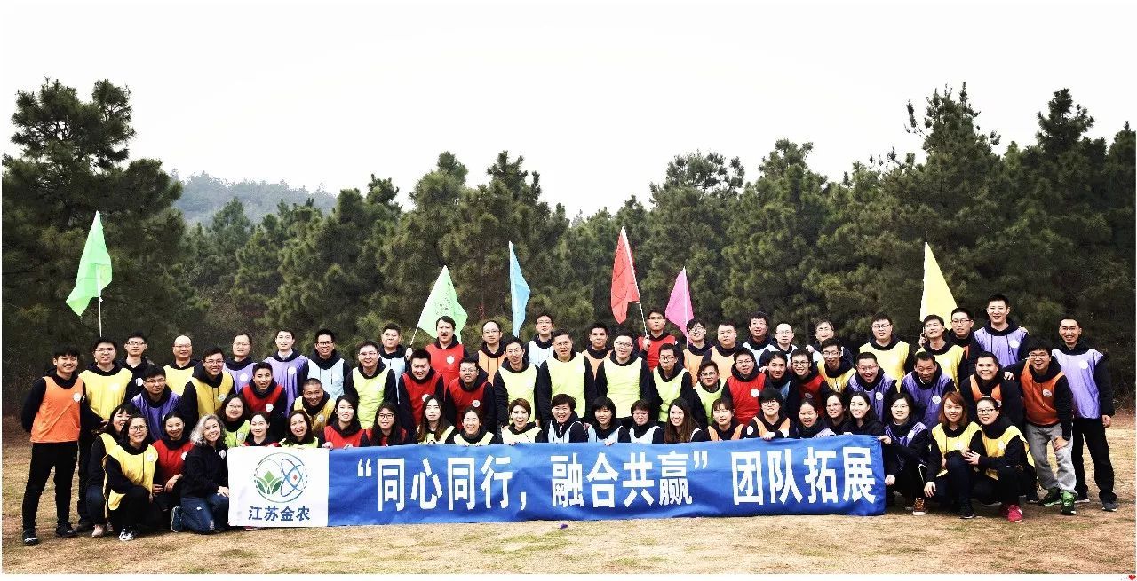 团建体能运动文案简短精辟